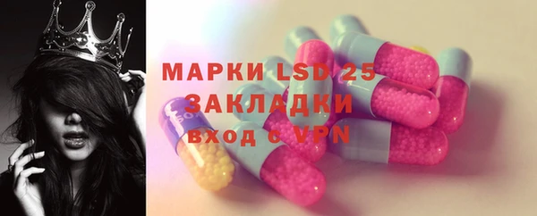 ГАЛЛЮЦИНОГЕННЫЕ ГРИБЫ Балабаново