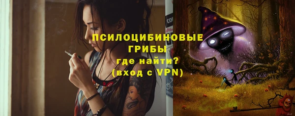 ГАЛЛЮЦИНОГЕННЫЕ ГРИБЫ Балабаново