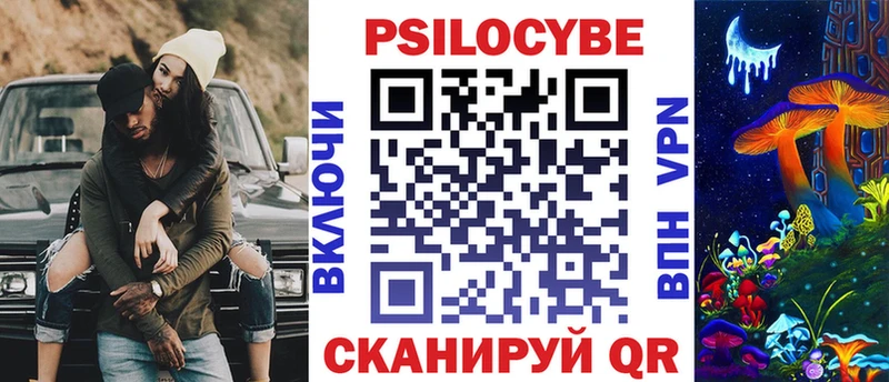 Псилоцибиновые грибы Psilocybe  Ноябрьск 