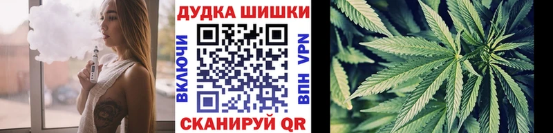 Бошки марихуана гибрид  закладки  сайты даркнета наркотические препараты  Ноябрьск 